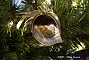 slides/DSC_0250.JPG  DSC_0250